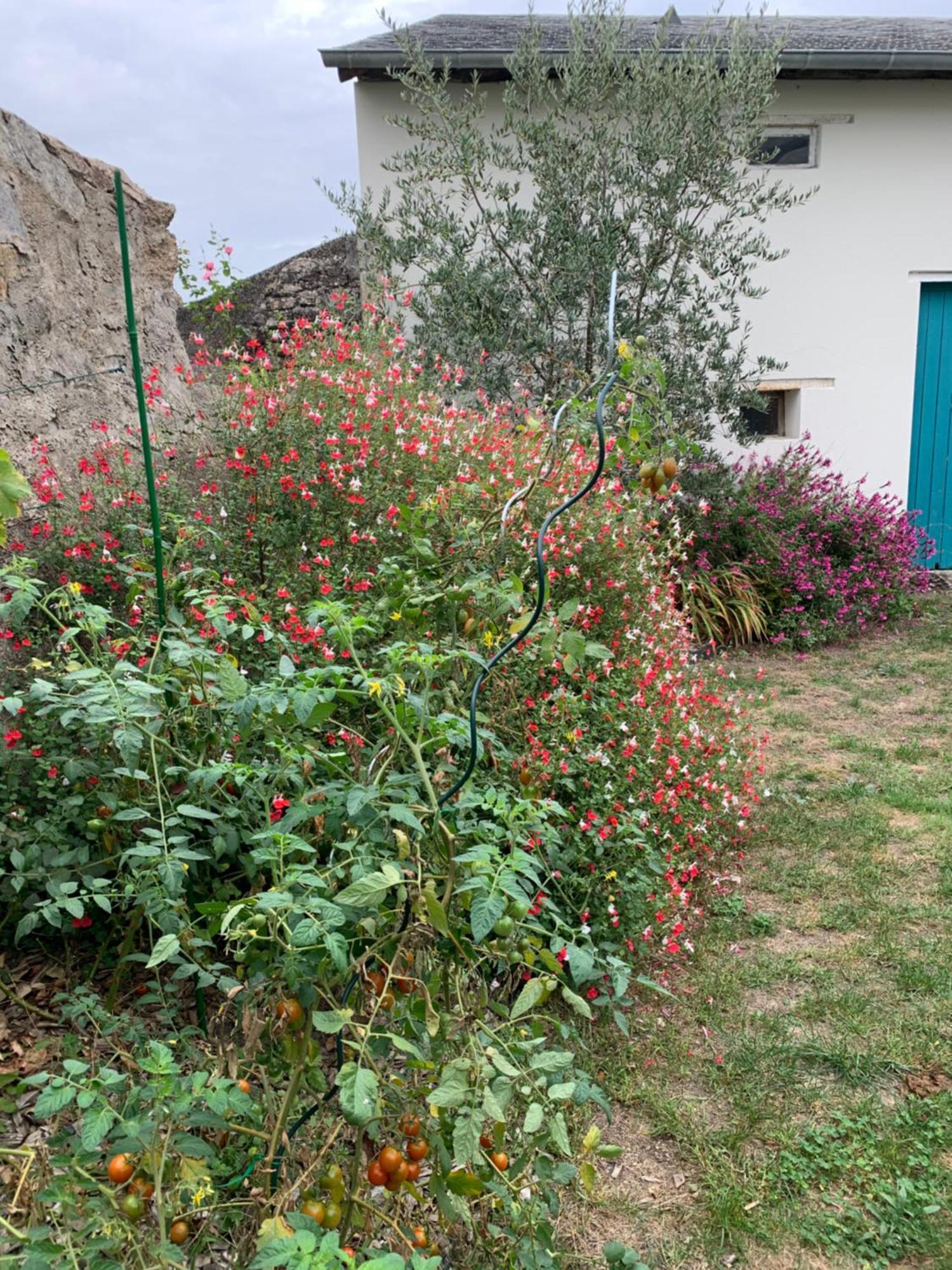 Chambre D'Hotes Les Petits Oiseaux Nantes Exterior photo